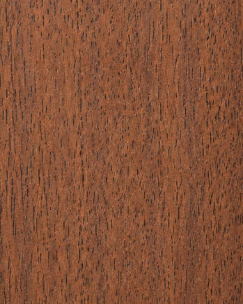 Acacia