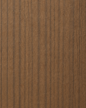 Dark Wood